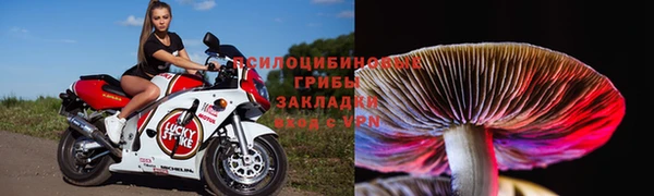первитин Гусев