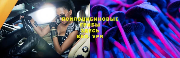 первитин Гусев