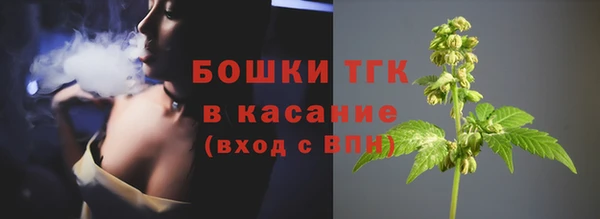 первитин Гусев