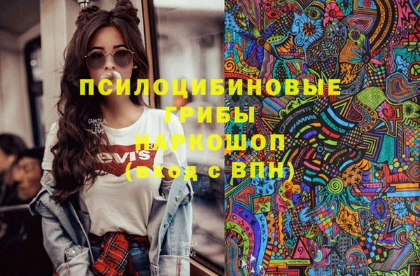 марки lsd Гусь-Хрустальный