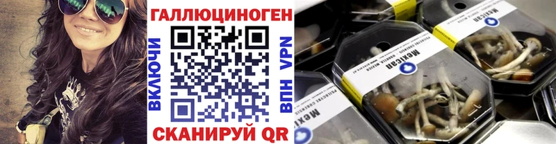 блэк спрут ССЫЛКА  Светлогорск  Галлюциногенные грибы Magic Shrooms  где купить наркоту 